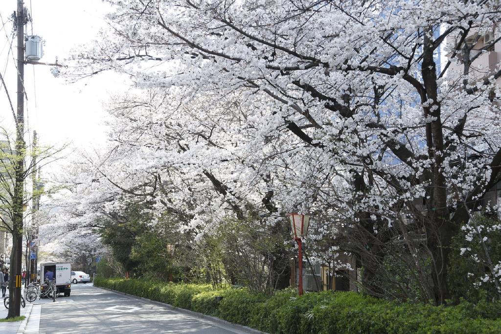 Aoi Hotel Kyoto Ngoại thất bức ảnh